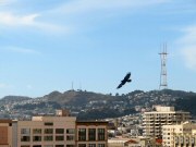 Mount Sutro Tower and Twin Peaks, San Francisco